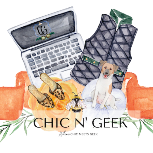 Hi and Welcome to Chic n’ Geek!